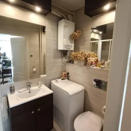 Apartament Pod Lasem 索波特