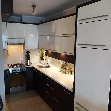 Apartament Pod Lasem 公寓 索波特